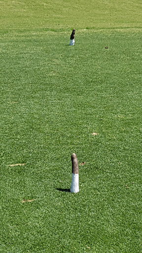 Golf Course «Witch Golf Links», reviews and photos, 1900 SC-544, Conway, SC 29526, USA