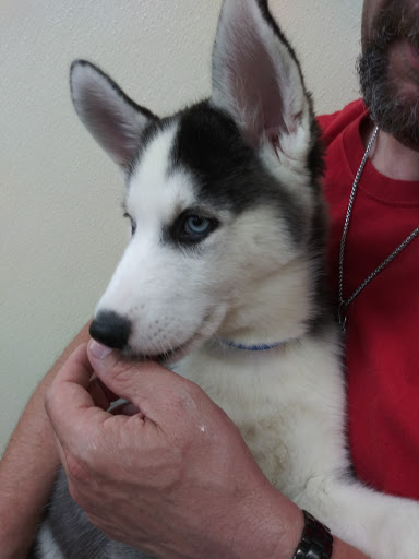 Pet Store «Park Avenue Birds & Pet Supply», reviews and photos, 120 W Center St, West Bridgewater, MA 02379, USA