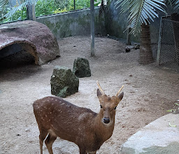 Zoo Cafe ???? ???? ???? photo