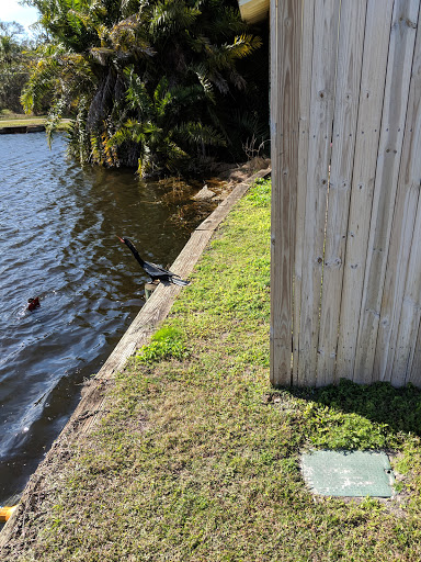 Golf Course «Largo Golf Course», reviews and photos, 12500 Vonn Rd, Largo, FL 33774, USA