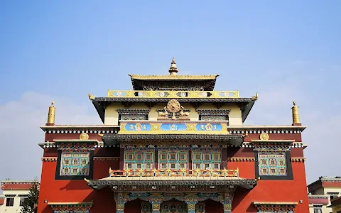 Shechen Monastery image