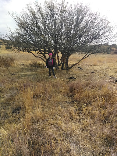 Golf Course «Prescott Country Club», reviews and photos, 1030 Prescott Country Club Blvd, Dewey, AZ 86327, USA