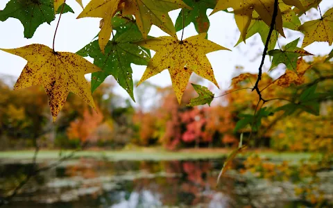 Oakland Lake image