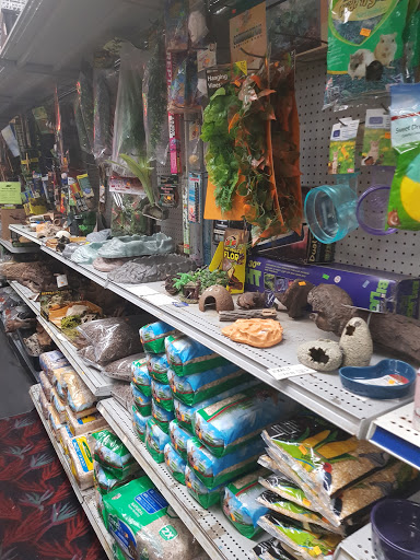 Pet Store «Brooklyn Zoo & Aquarium Pet Store», reviews and photos, 2377 Ralph Ave, Brooklyn, NY 11234, USA