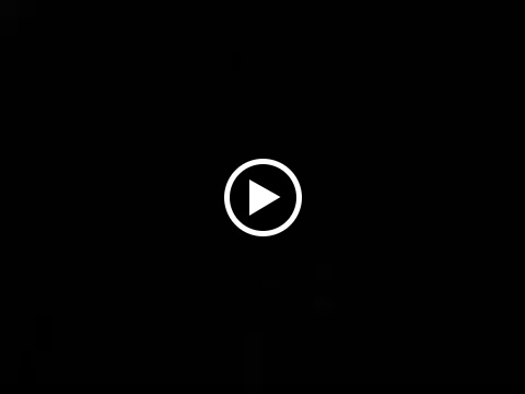 Personal Injury Attorney «dOliveira & Associates», reviews and photos