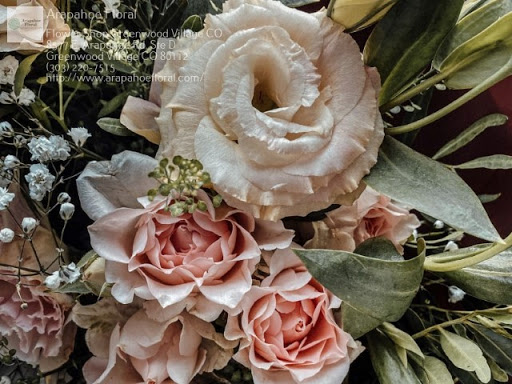 Florist «Arapahoe Floral», reviews and photos, 8577 E Arapahoe Rd, Greenwood Village, CO 80112, USA