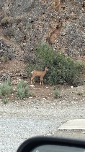 Florist «Chelan Fruit Plant 3», reviews and photos, 80 McNeil Canyon Rd, Orondo, WA 98843, USA