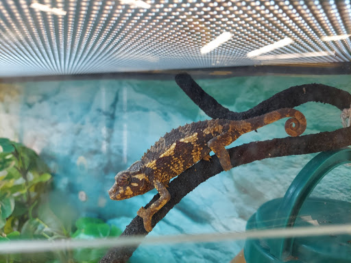 Pet Supply Store «Petco Animal Supplies», reviews and photos, 1791 Clarkson Rd, Chesterfield, MO 63017, USA