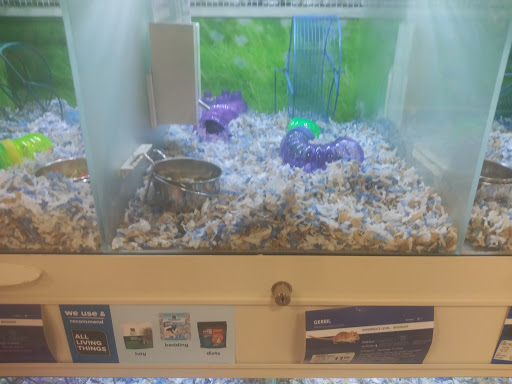 Pet Supply Store «PetSmart», reviews and photos, 1116 S Rochester Rd, Rochester Hills, MI 48307, USA