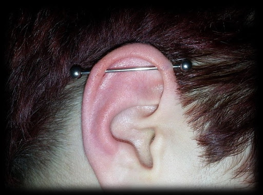 Tattoo Shop «Tit 4 Tat Tattoo Studio Inc.», reviews and photos, 45571 Mound Rd, Shelby Charter Township, MI 48317, USA