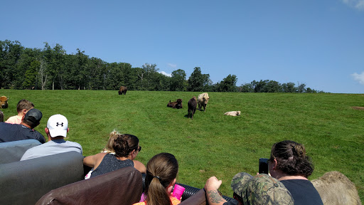 Park «Lake Tobias Wildlife Park», reviews and photos, 760 Tobias Road, Halifax, PA 17032, USA