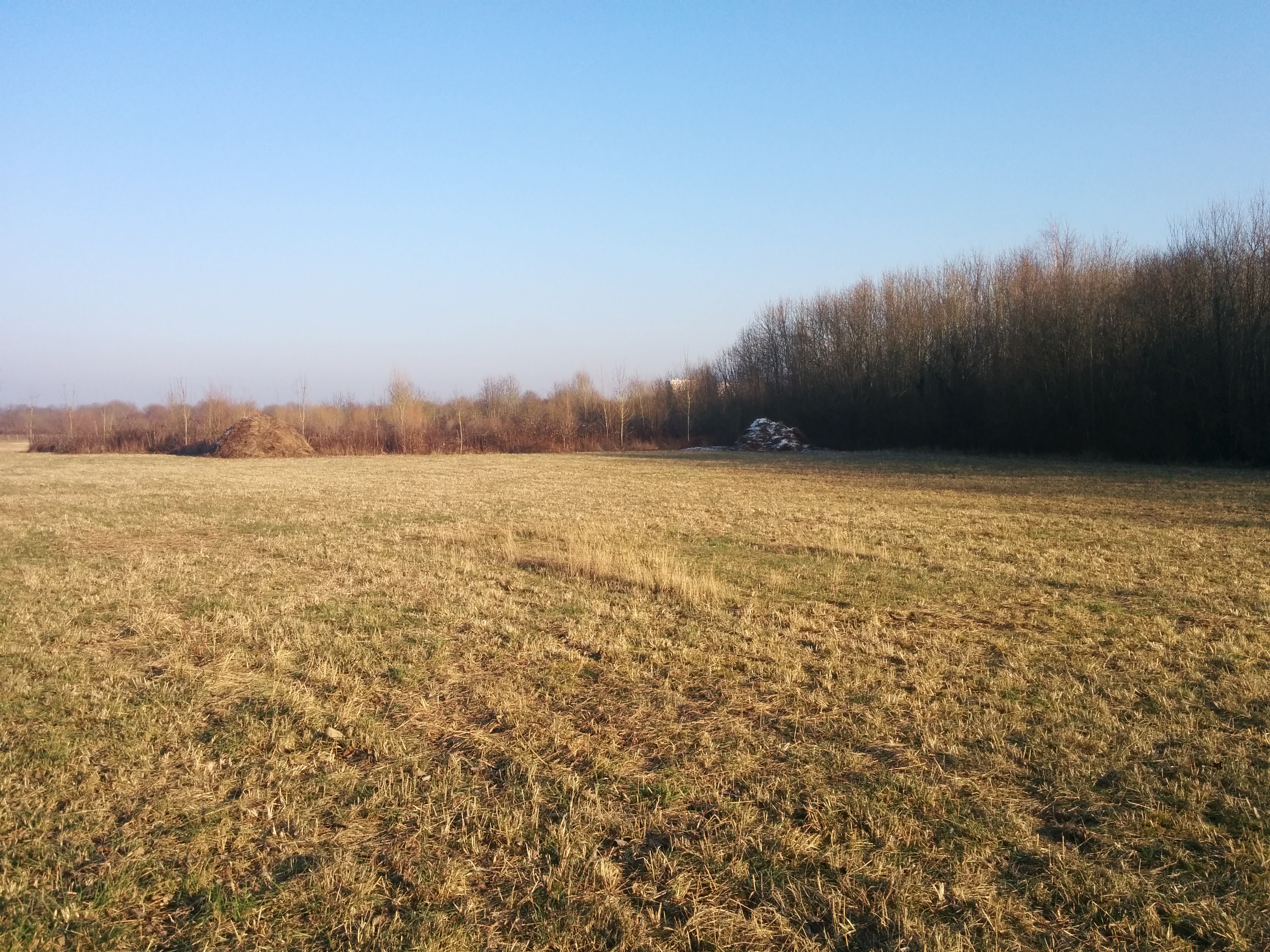 Photo n° 3 de l'avis de Photos.a fait le 26/02/2017 à 21:16