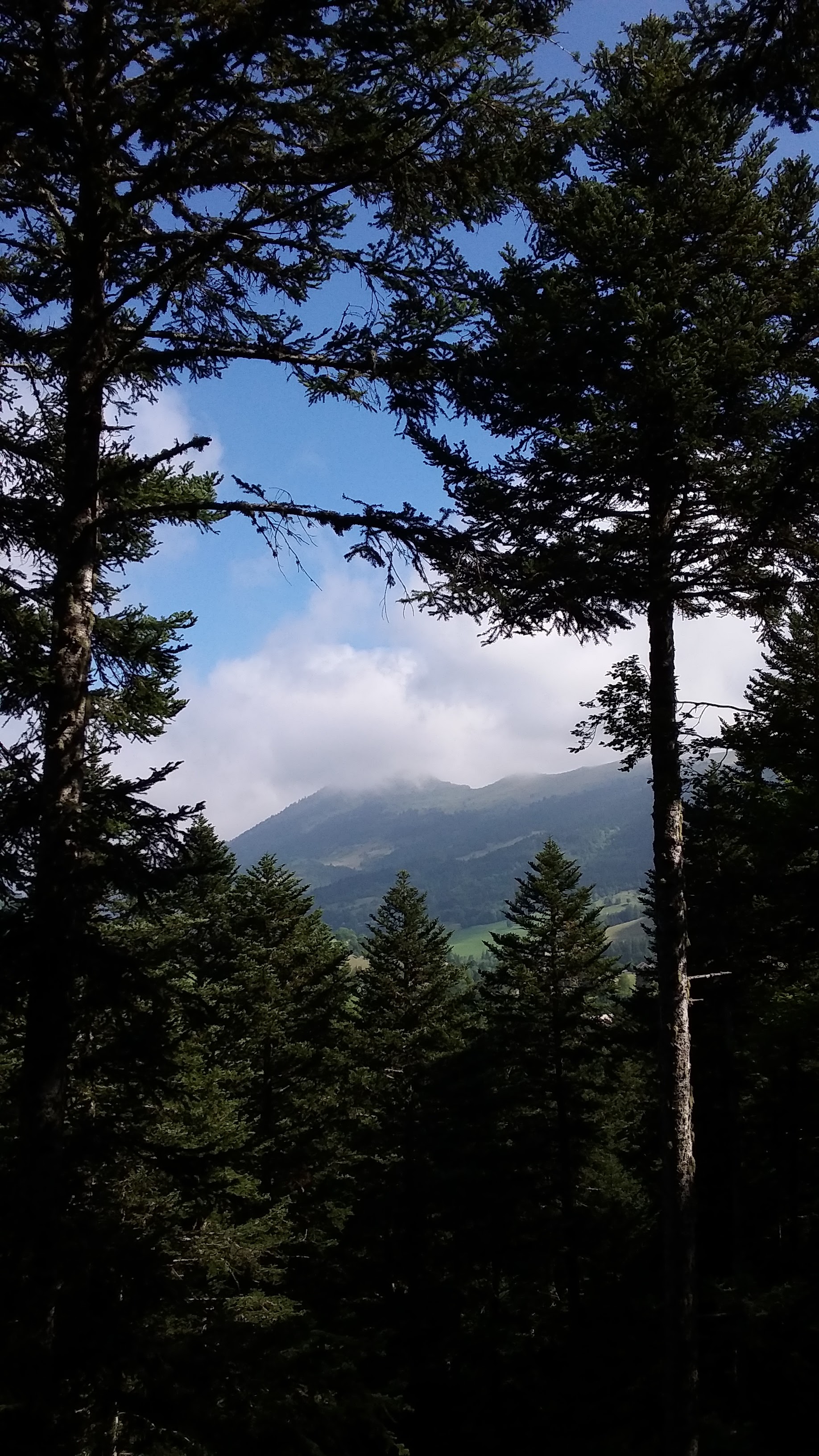 Photo n° 17 de l'avis de Radia.t fait le 15/06/2022 à 22:26