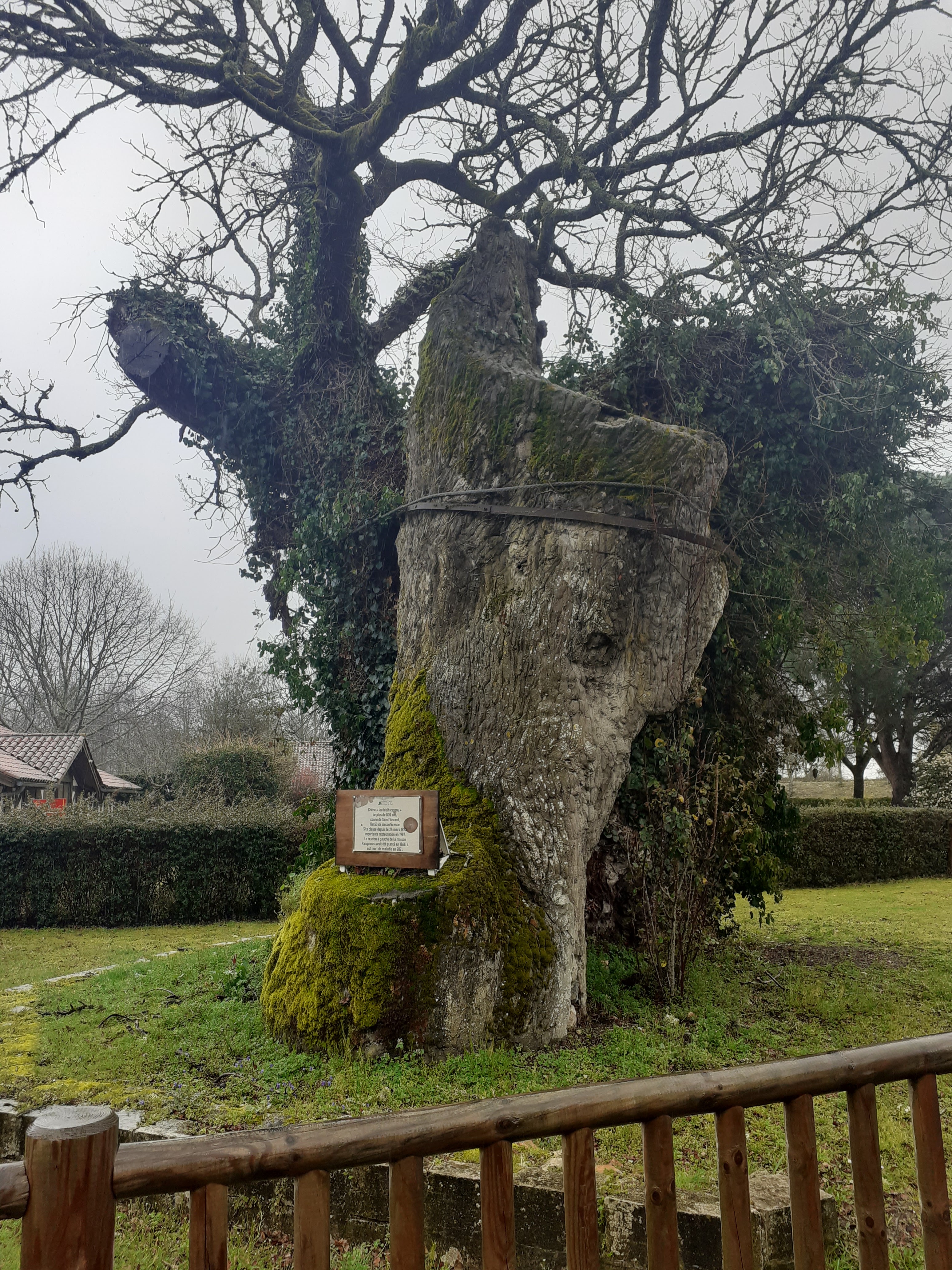Photo n° 11 de l'avis de Ludovic.e fait le 22/03/2023 à 14:05