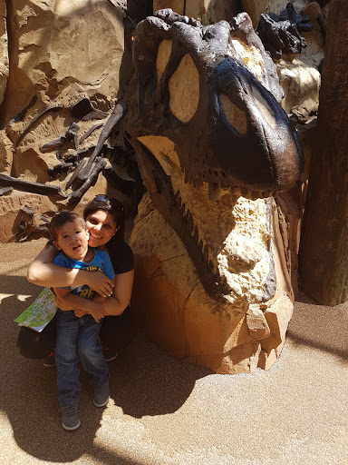 Tourist Attraction «Finding Nemo - The Musical», reviews and photos, Dinoland U.S.A., Kissimmee, FL 34747, USA