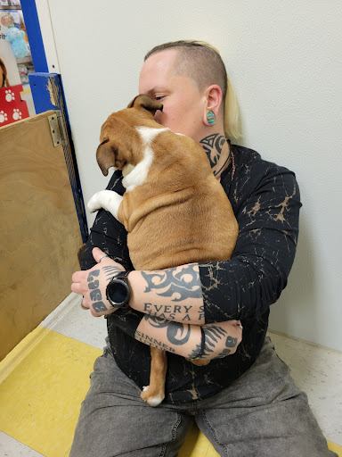 Pet Store «Yuppy Puppy Pet Shop», reviews and photos, 292 Frantz Rd, Stroudsburg, PA 18360, USA