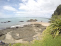 Best Coves In Auckland Near You
