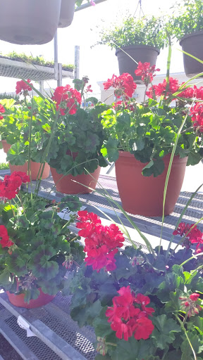 Shopping Mall «Fairfield Shopping Center», reviews and photos, 5322 Lord Dunmore Ct, Virginia Beach, VA 23464, USA