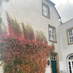 Photo n°3 de l'avis de Manon. fait le 20/10/2022 à 17:58 sur le  Hotel Burg Wanzleben à Wanzleben-Börde