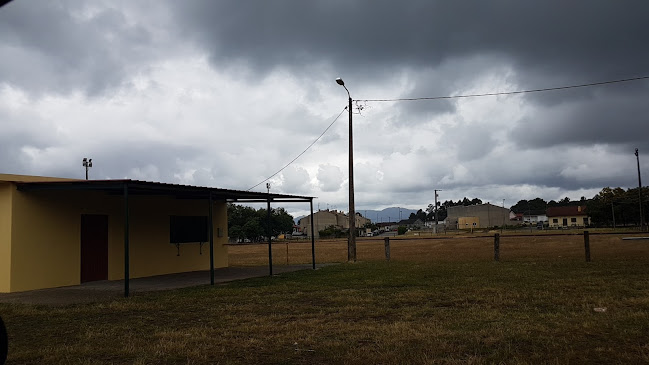 Campo de Futebol Cerdalense - Campo de futebol