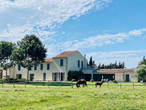 Domaine de Révélat - Poney-club, Centre Equestre et Hébergement - Mallemort-de-Provence à Mallemort