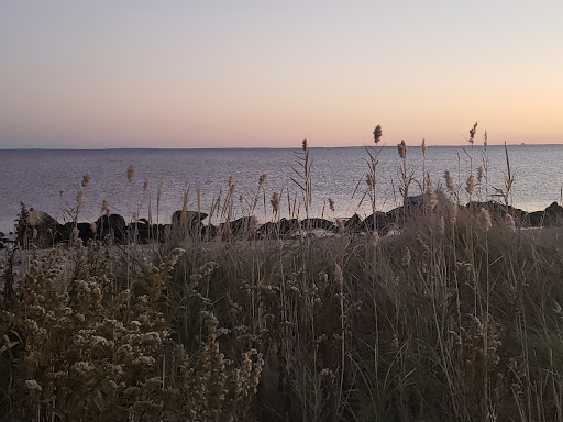 State Park «Silver Sands State Park», reviews and photos, 1 Silver Sands Park Way, Milford, CT 06460, USA