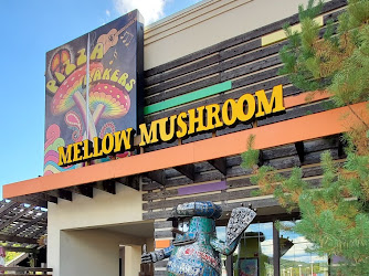 Mellow Mushroom Johnson City