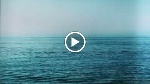 Clothing Store «GUESS Factory», reviews and photos, 1650 Premium Outlet Blvd #575, Aurora, IL 60502, USA