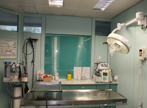 Clínica Veterinaria Loranca en Fuenlabrada