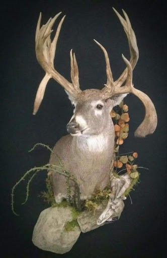 Taxidermist «HighPoint Taxidermy And Outfutters», reviews and photos, 14860 OH-13, Thornville, OH 43076, USA