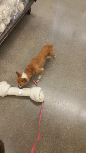 Pet Supply Store «Petco Animal Supplies», reviews and photos, 3430 W State St, Grand Island, NE 68803, USA