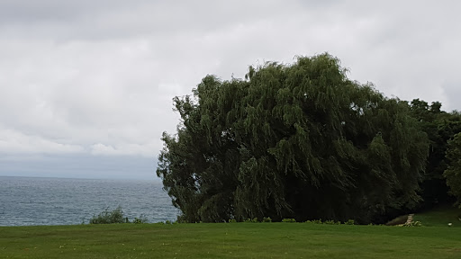 Country Club «Shoreacres Country Club», reviews and photos, 1601 Shore Acres Rd, Lake Bluff, IL 60044, USA