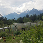 Photo n°9 de l'avis de Ba.a fait le 04/06/2019 à 18:49 sur le  Buschenschank Salfgut à Schenna