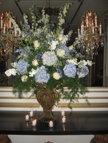 Plant Nursery «A & S Whitestone Nursery», reviews and photos, 2302 Francis Lewis Blvd, Whitestone, NY 11357, USA