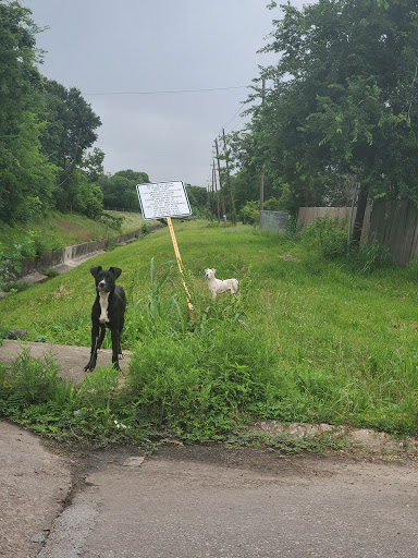 Pet Supply Store «Big Tex Feed & Pet Supply», reviews and photos, 7102 Cullen Blvd, Houston, TX 77021, USA