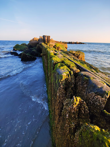 Aquarium «New York Aquarium», reviews and photos, 602 Surf Ave, Brooklyn, NY 11224, USA