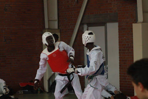 Ligue de Taekwondo du Centre Val-de-Loire à Orléans