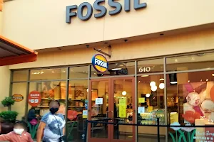 Fossil Outlet Store image