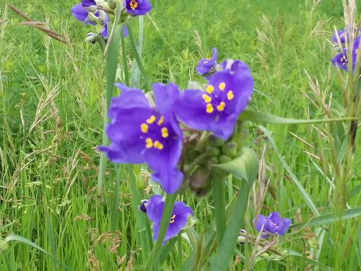 Nature Preserve «Wolf Creek Environmental Center», reviews and photos, 6100 Ridge Rd, Wadsworth, OH 44281, USA