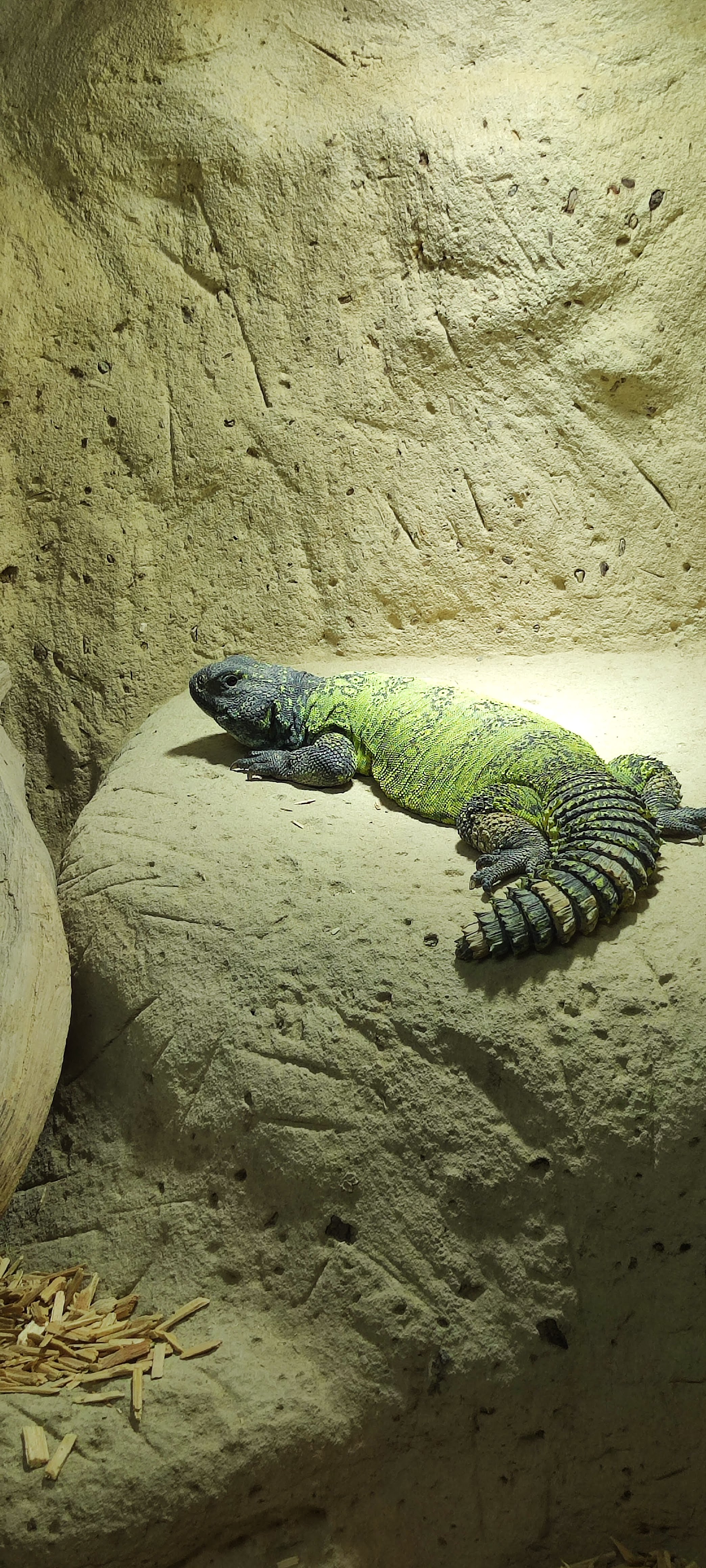 Photo n° 10 de l'avis de Yannick.o fait le 11/02/2023 à 16:29