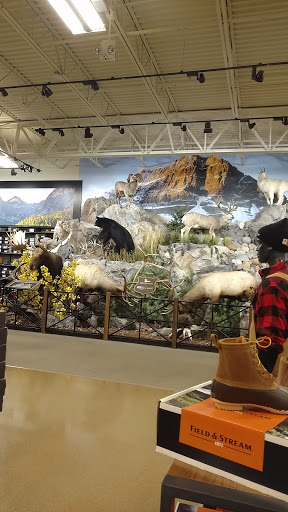 Outdoor Sports Store «Field & Stream», reviews and photos, 5215 Century Ave, Kalamazoo, MI 49006, USA