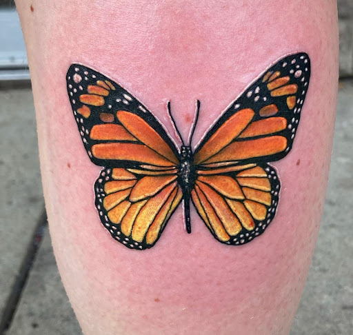 Explore lion tattoo ideas, creative tattoo ideas in Fort Wayne, available at Grade A Tattoos and Body Piercing