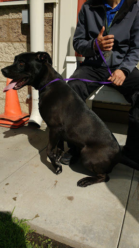 Friends of Upland Animal Shelter image