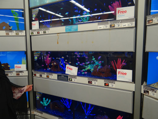 Pet Supply Store «Petco Animal Supplies», reviews and photos, 11331 W Broad St #151, Glen Allen, VA 23060, USA