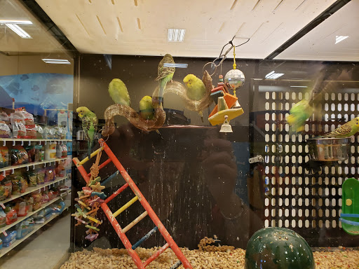 Pet Supply Store «PetSmart», reviews and photos, 2929 James Sanders Blvd f, Paducah, KY 42001, USA