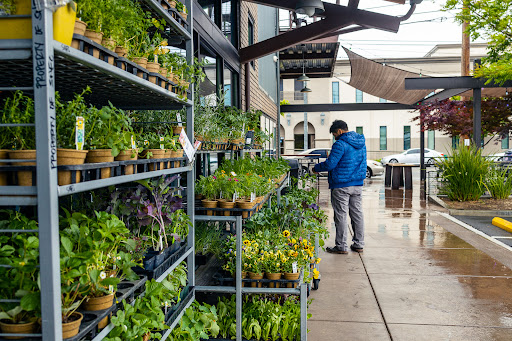 Grocery Store «Sacramento Natural Foods Co-op», reviews and photos, 2820 R St, Sacramento, CA 95816, USA