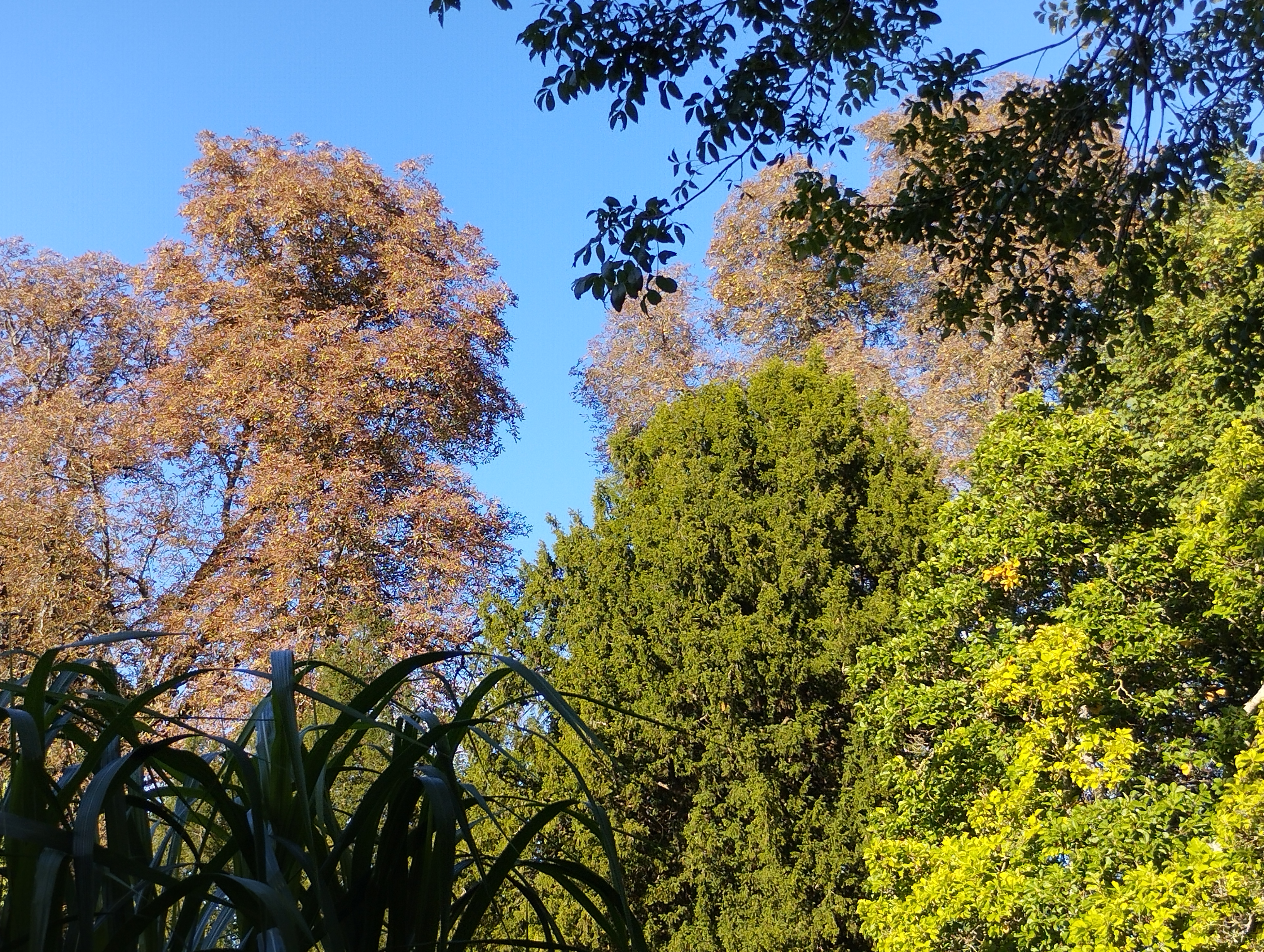Photo n° 2 de l'avis de Régine.O fait le 23/09/2022 à 14:54