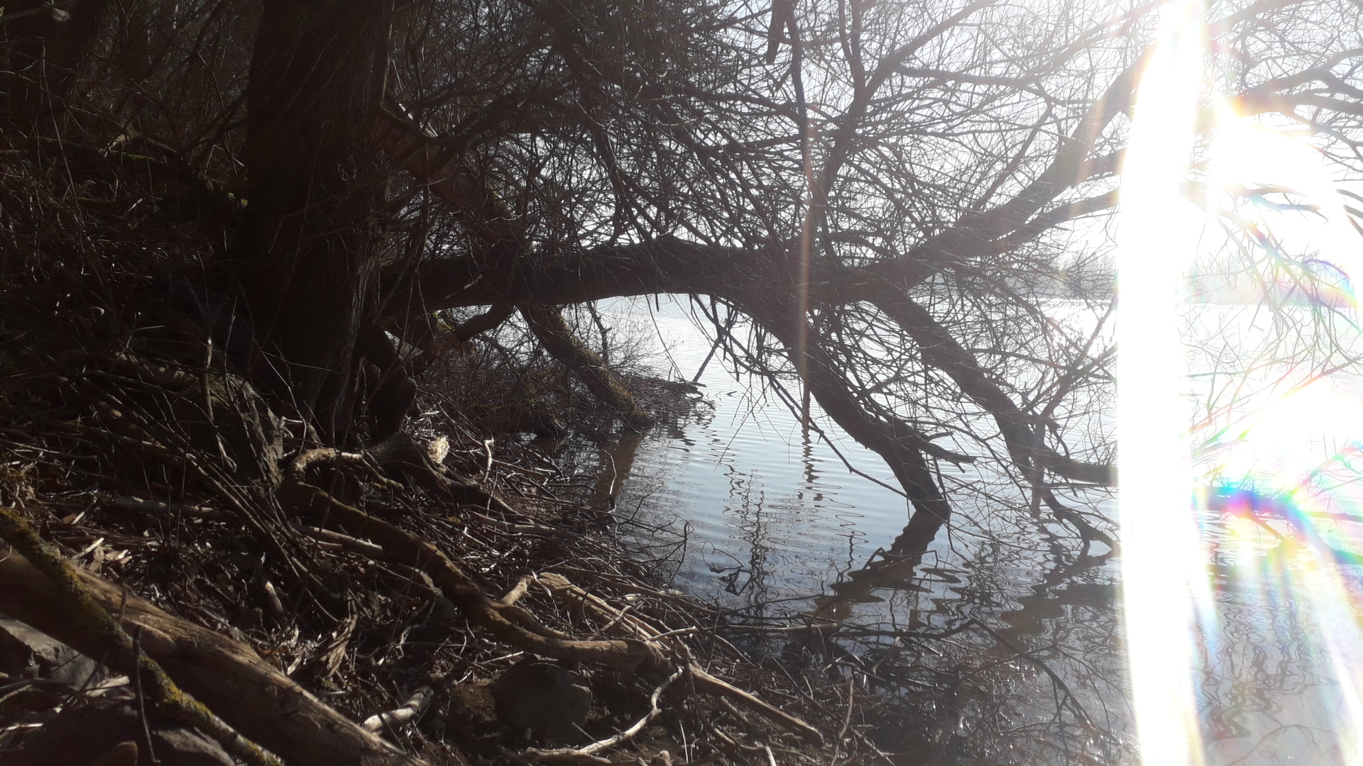 Photo n° 3 de l'avis de Eric.i fait le 16/02/2019 à 12:56