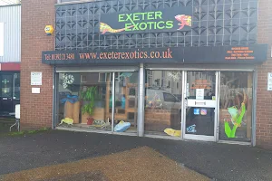 Exeter Exotics image