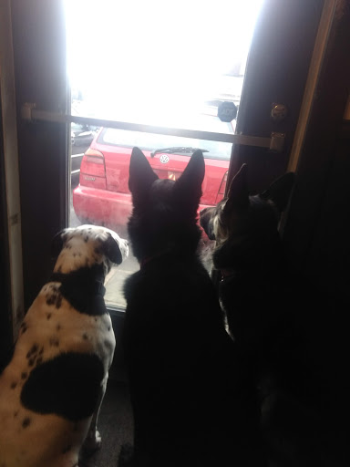 Used Car Dealer «Bonalle Auto Sales and Repair», reviews and photos, 501 E Penn Ave, Cleona, PA 17042, USA